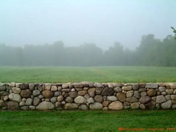 NATURAL STONE WALL